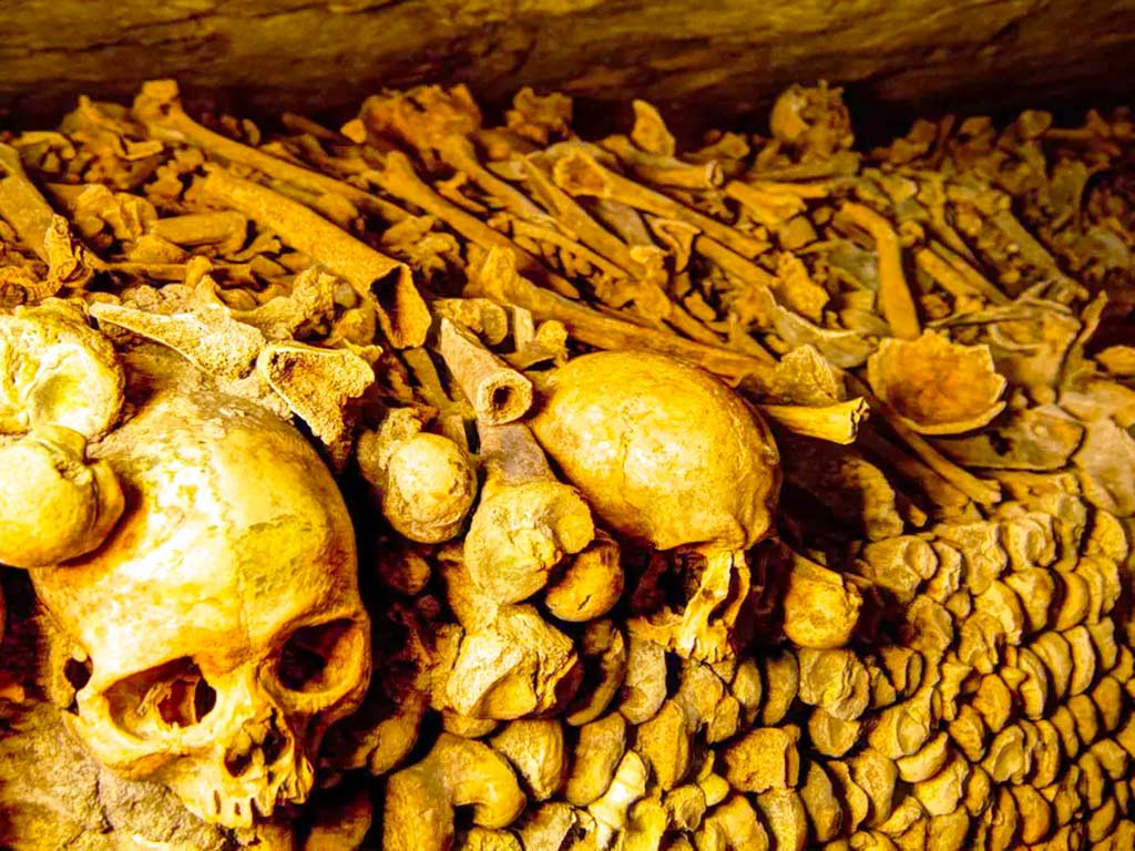 catacombs paris tour | Paris Whatsup
