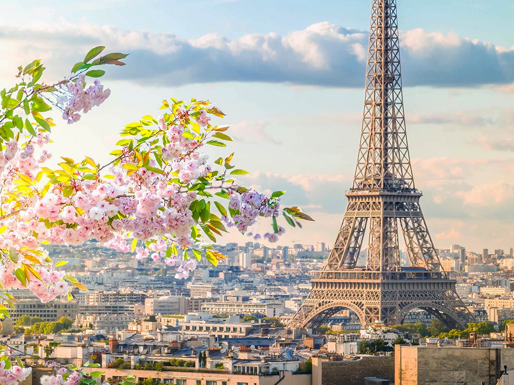 eiffel tower paris spring blossoms | Paris Whatsup